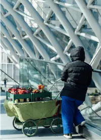 A street vendor selling fruits
